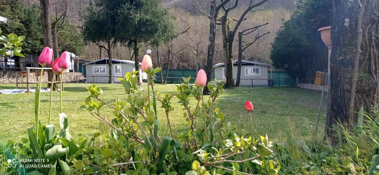 Parco Vacanze Bracchetto Vetta Hotell Carrodano Inferiore Eksteriør bilde